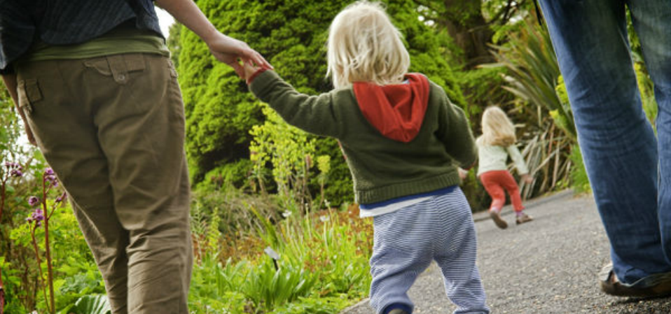 A child walking in a park holding hands with a parent