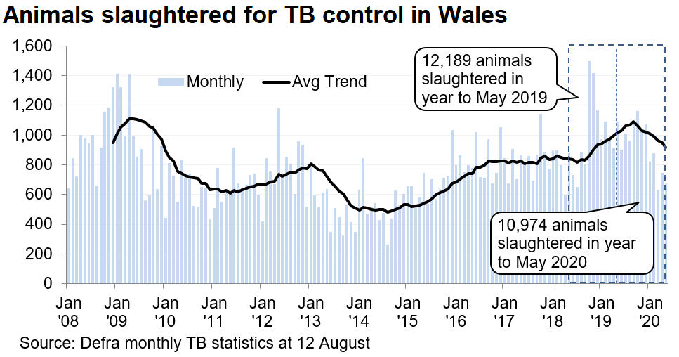 Chart showing the trend in animals slaughtered for TB control in Wales since 2008. 10,974 animals were slaughtered in the 12 months to May 2020, a decrease of 10% compared with the previous 12 months.