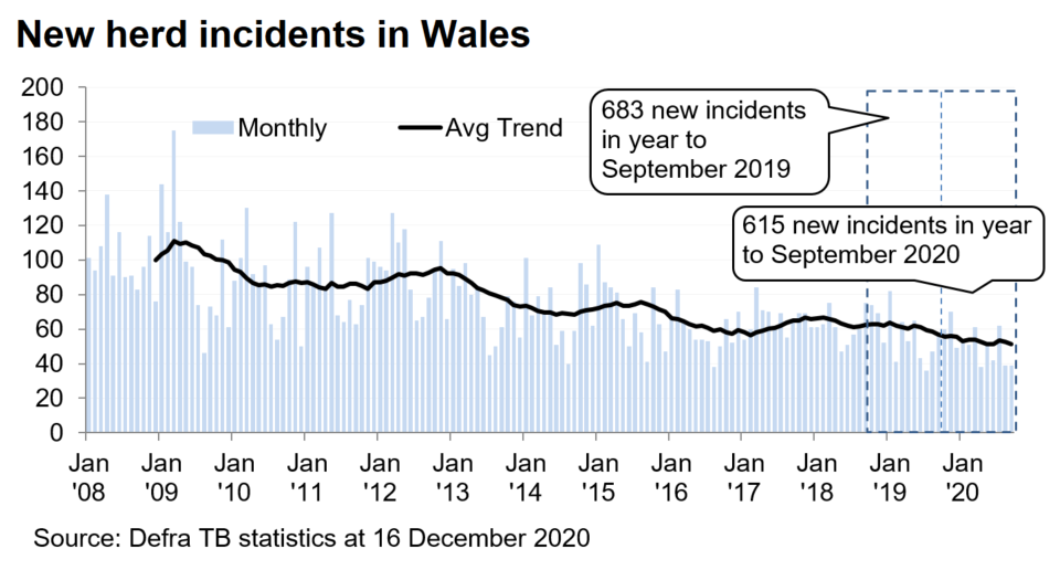 Chart showing the trend in new herd incidents in Wales since 2008. There were 615 new incidents in the 12 months to September 2020, a decrease of 10% compared with the previous 12 months.