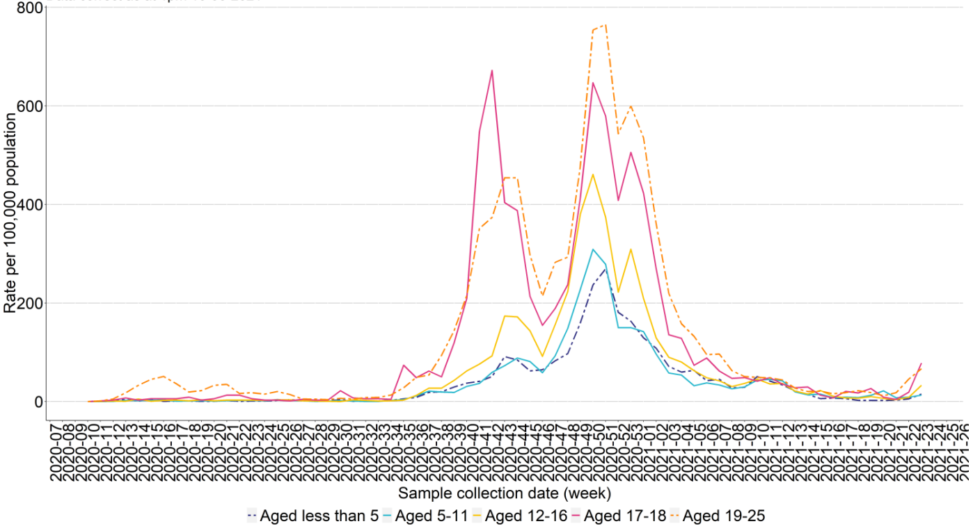 Graph showing weekly COVID-19 per 100,000 population in school age childen