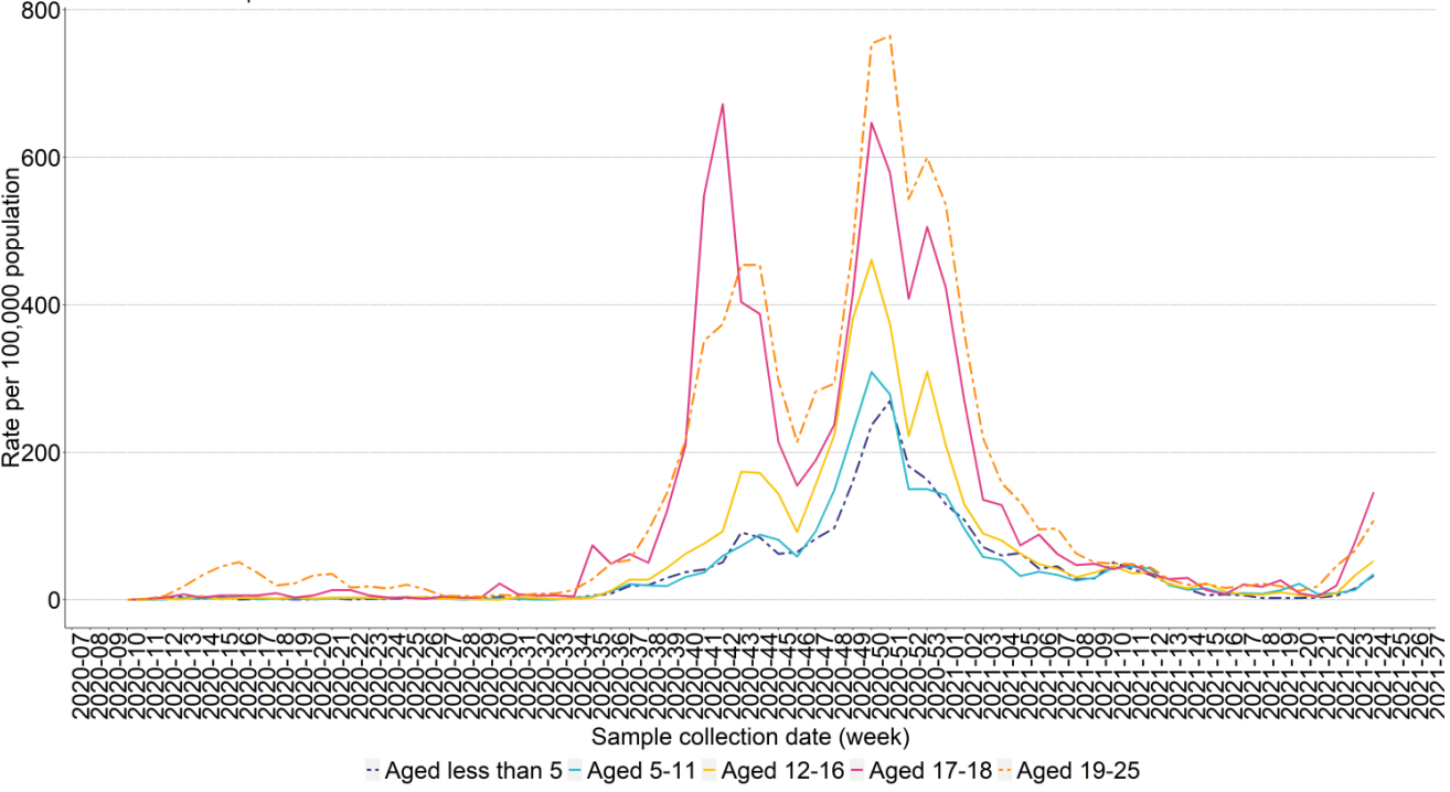 Graph showing weekly COVID-19 per 100,000 population in school age childen