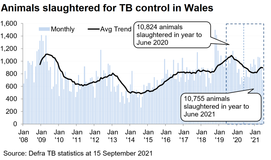 Chart showing the trend in animals slaughtered for TB control in Wales since 2008. 10,755 animals were slaughtered in the 12 months to June 2021, a decrease of 1% compared with the previous 12 months.