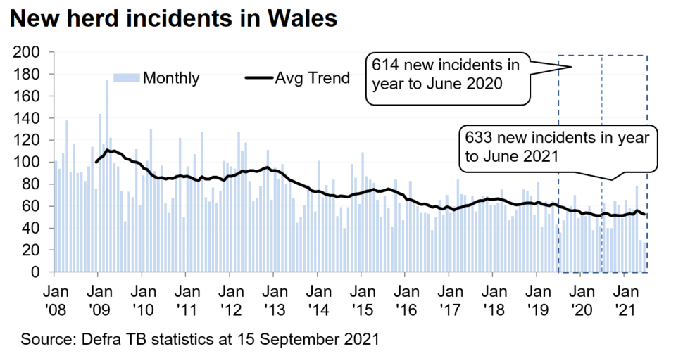 Chart showing the trend in new herd incidents in Wales since 2008. There were 633 new incidents in the 12 months to June 2021, an increase of 3% compared with the previous 12 months.