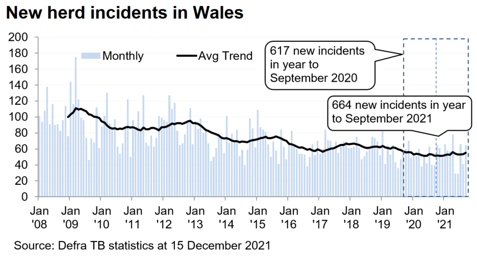 Chart showing the trend in new herd incidents in Wales since 2008. There were 664 new incidents in the 12 months to September 2021, an increase of 8% compared with the previous 12 months.