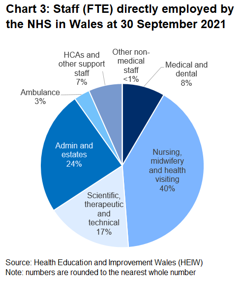 Pie chart showing the proportion of staff by staff group at 30 September 2021. The biggest group is the nursing, midwifery and health visiting group, making up 40% of the total.