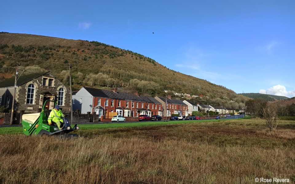 Cut and collect mower on amenity grassland