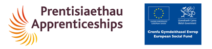 Apprenticeships logo, European Social Fund logo