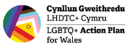 LGBTQ+ action plan logo