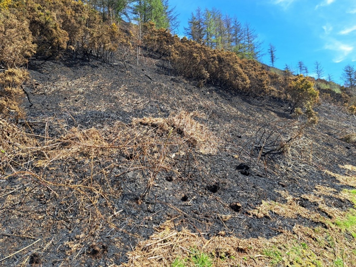 An image depicting scorched ground at a tip site following a fast-moving wildfire in March 2025