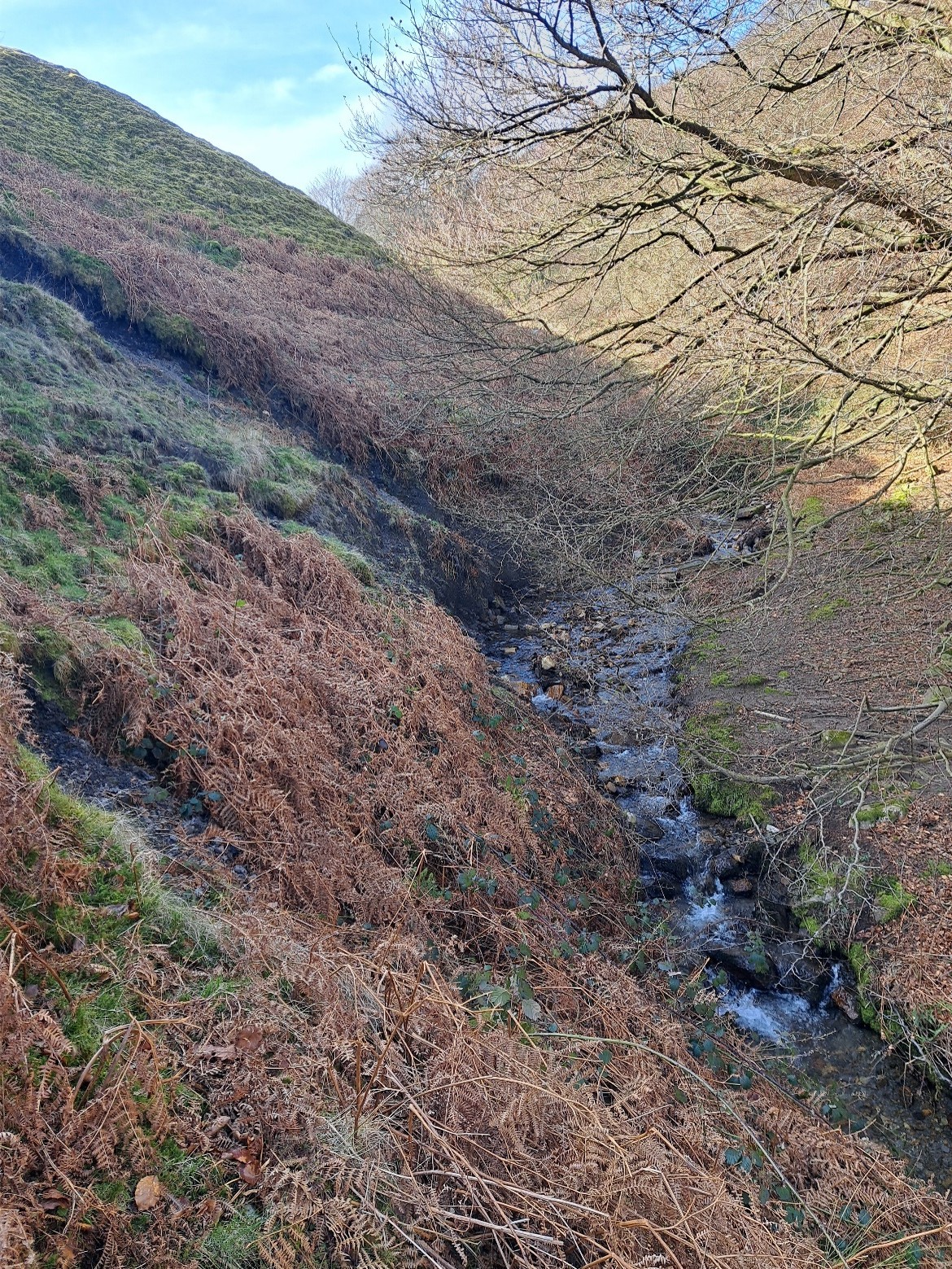 Image showing watercourse at the toe of a disused coal tip