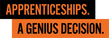 Apprenticeships A Genius Decision