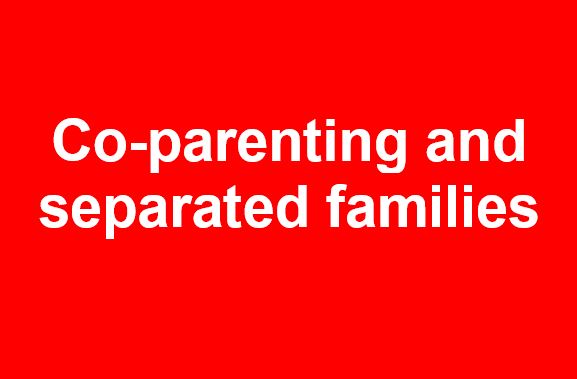 Co-parenting and separated families: 8 to 12 years