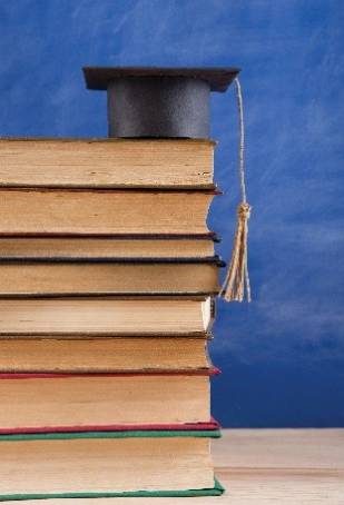 Business support, engagement and capability