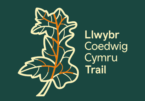Llwybr Coedwig Cymru Trail 