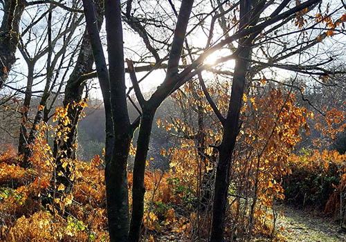 Nant y Moel to Pont Walby