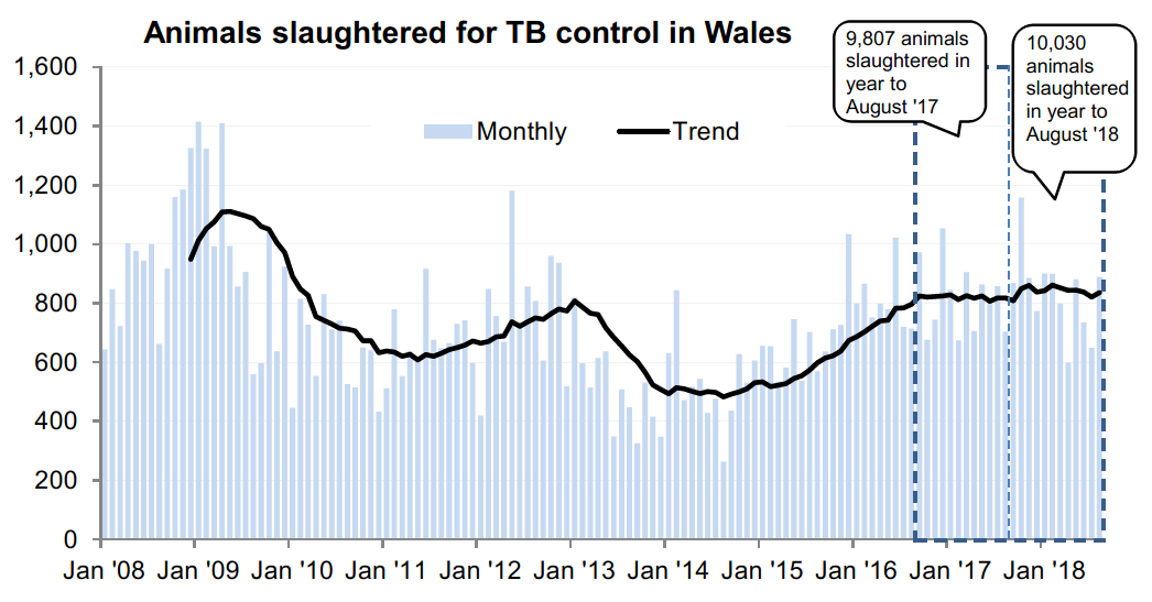 Chart showing the trend in animals slaughtered for TB control in Wales since 2008. 10,030 animals were slaughtered in the 12 months to August 2018, an increase of 2% compared with the previous 12 months.