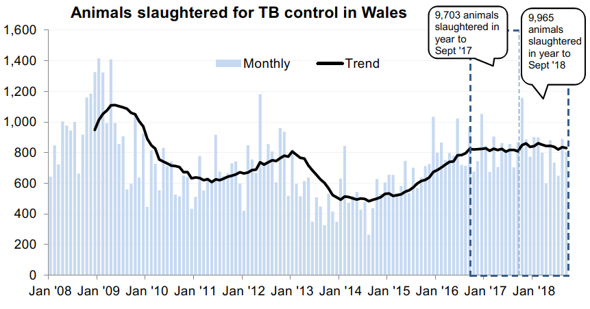 Chart showing the trend in animals slaughtered for TB control in Wales since 2008. 9,965 animals were slaughtered in the 12 months to September 2018, an increase of 3% compared with the previous 12 months.