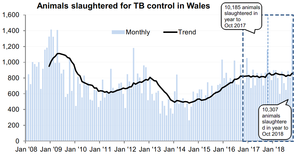 Chart showing the trend in animals slaughtered for TB control in Wales since 2008. 10,307 animals were slaughtered in the 12 months to October 2018, an increase of 1% compared with the previous 12 months.
