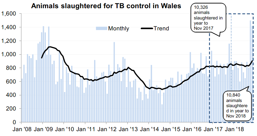 Chart showing the trend in animals slaughtered for TB control in Wales since 2008. 10,840 animals were slaughtered in the 12 months to November 2018, an increase of 5% compared with the previous 12 months.