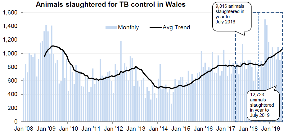 Chart showing the trend in animals slaughtered for TB control in Wales since 2008. 12,723 animals were slaughtered in the 12 months to July 2019, an increase of 30% compared with the previous 12 months.
