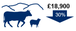 Cattle and sheep (Less Favoured Area) farms: £18,900. Down 30%
