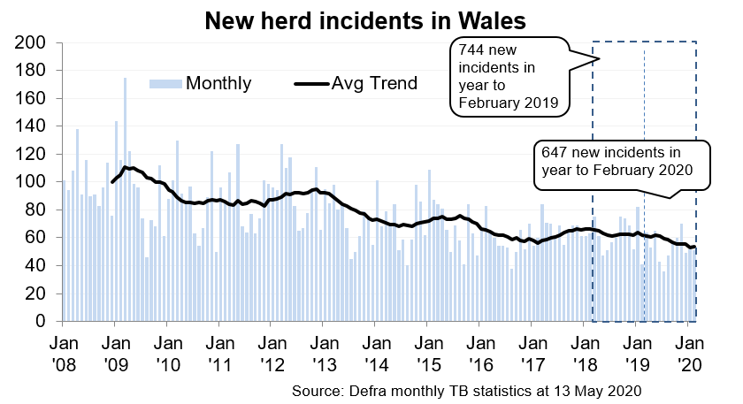 Chart showing the trend in new herd incidents in Wales since 2008. There were 647 new incidents in the 12 months to February 2020, a decrease of 13% compared with the previous 12 months.
