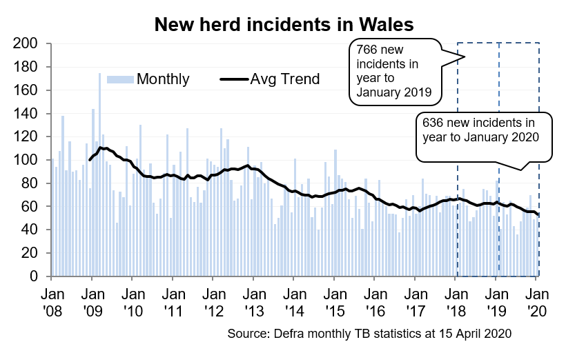 Chart showing the trend in new herd incidents in Wales since 2008. There were 636 new incidents in the 12 months to January 2020, a decrease of 17% compared with the previous 12 months.