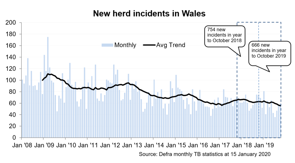 Chart showing the trend in new herd incidents in Wales since 2008. There were 666 new incidents in the 12 months to October 2019, a decrease of 12% compared with the previous 12 months.