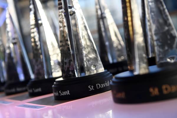 St David Awards 2021: New award for pandemic heroes