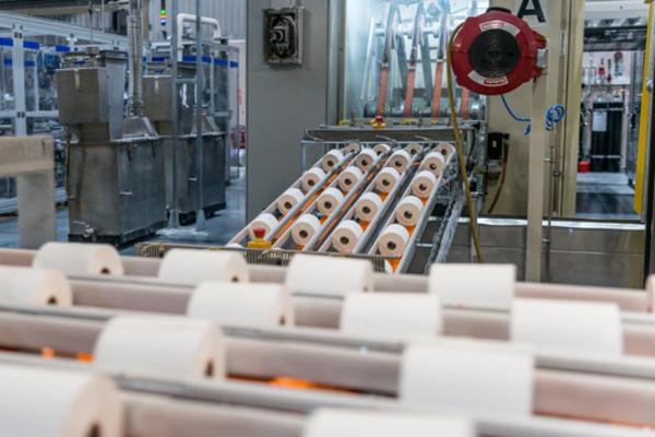Picture of rolls of paper on a production line