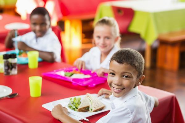 Universal Free School Meals Roll-out to Commence in September