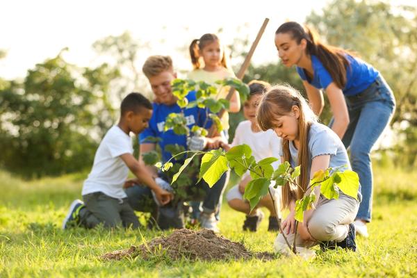 Children planting trees.