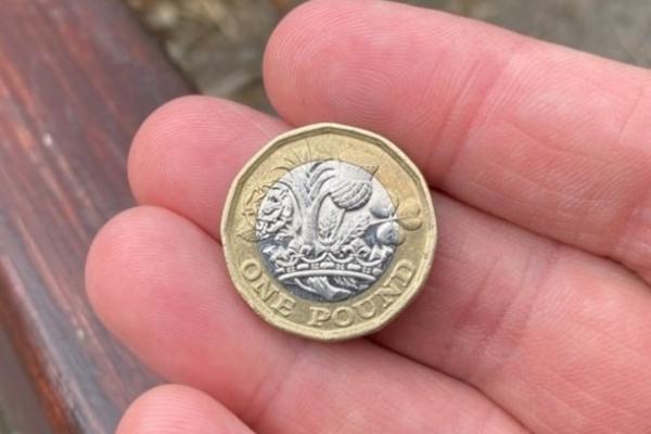 Pound coin