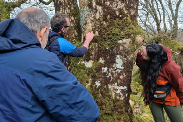 Community members participating in a nature connection workshop in ancient woodland.