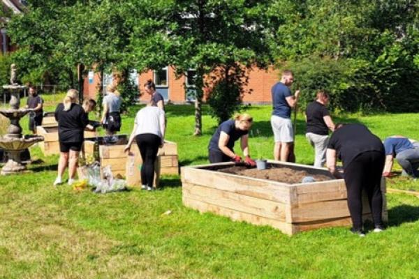 Staff, patients, and volunteers assembling raised beds on the lawn at Cefn Coed Hospital.